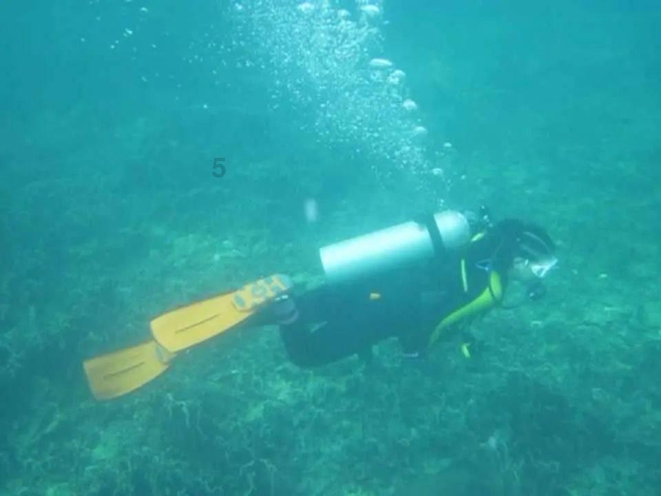 2023年海南经济成绩单振奋人心!经济加速回升 自贸港成型起势